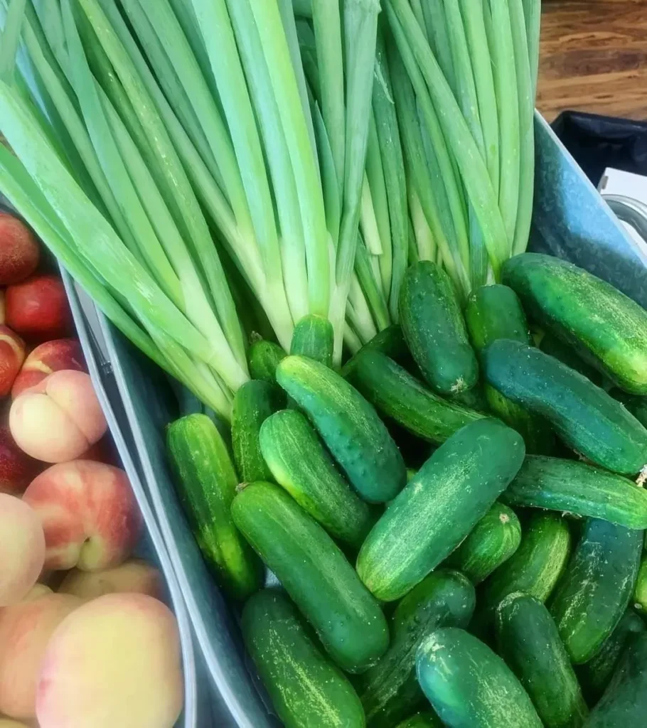 Fresh cucumbers, green onions, and peaches